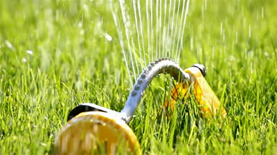 stock-footage-sprinklers-sprinkler-spraying-water-on-back-yard-green-grass
